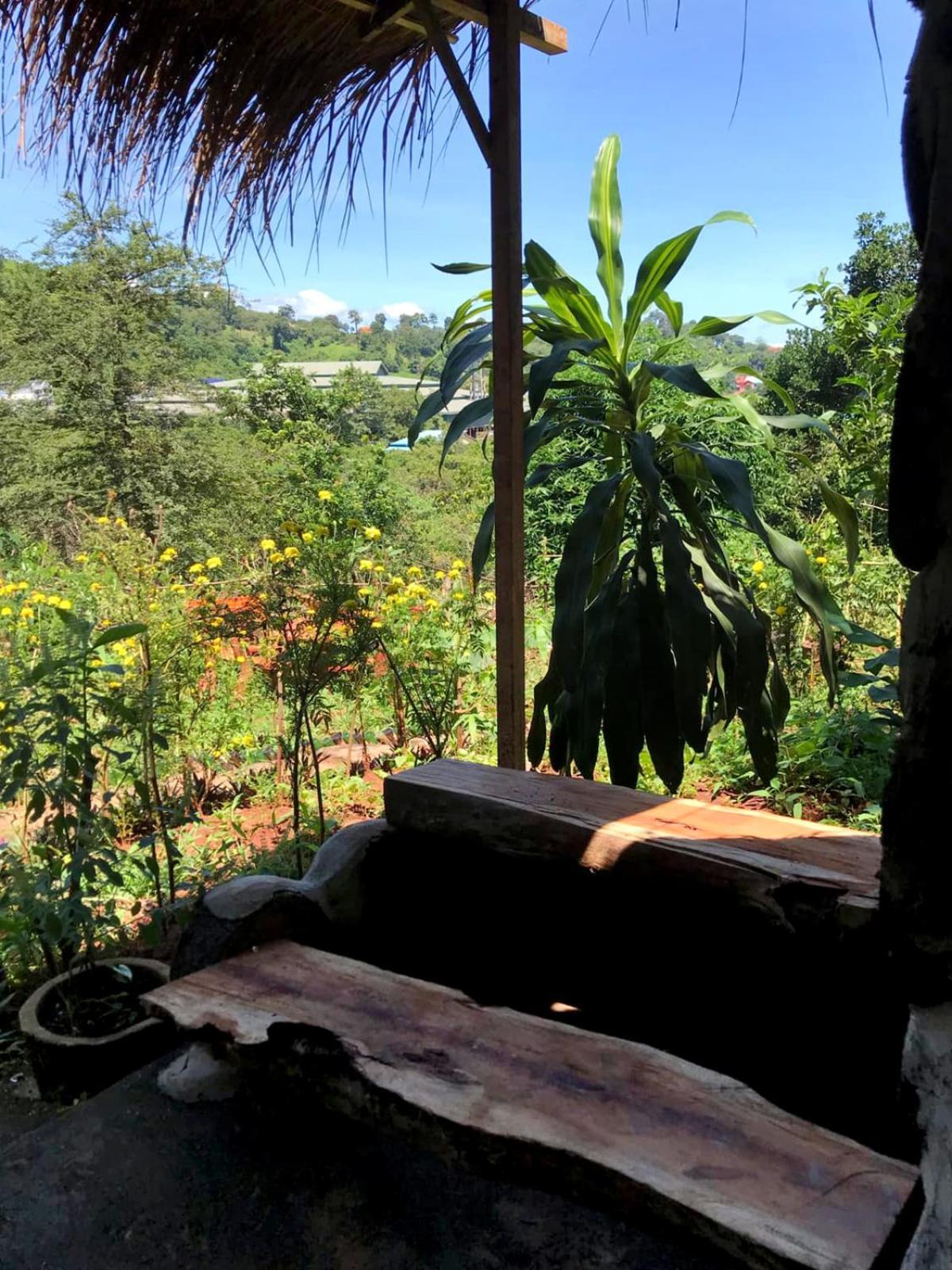 Backpacker Hostel And Jungle Trekking Banlung Exteriör bild